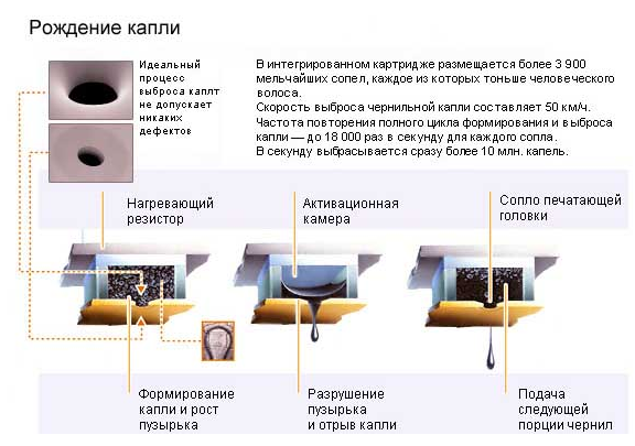 ТТ